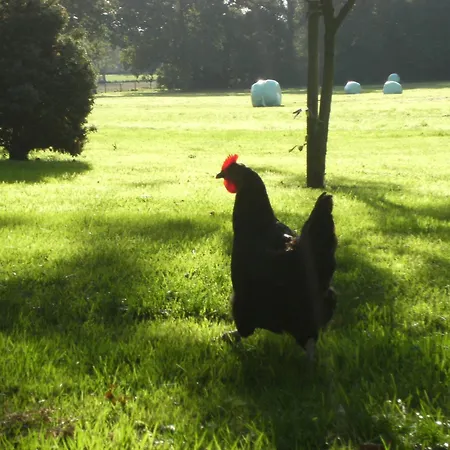 Couette-café éco-domaine Et - Mer, Nature&confort - Côte D'opale Wierre-Effroy