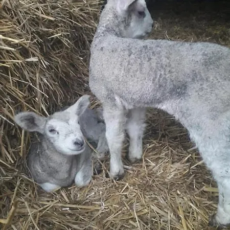 éco-domaine Et - Mer, Nature&confort - Côte D'opale Wierre-Effroy