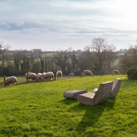 Bed & Breakfast Ecodomaine Le Verin, Et - Mer, Nature & Confort - Cote D'opale 4*