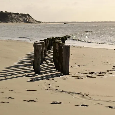 Bed & Breakfast Ecodomaine Le Verin, Et - Mer, Nature & Confort - Cote D'opale 4*