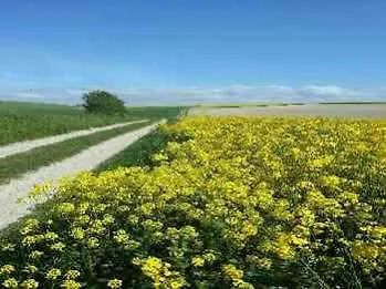 éco-domaine Et - Mer, Nature&confort - Côte D'opale Couette-café 4*