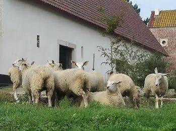 Bed & Breakfast Alex Factory Et D'hotes Cote D'opale Wierre-Effroy